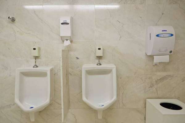 Pinacoteca - divulgação