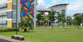 Foto: (Natalia Dourado/Agência USP)