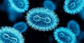 Foto: (BlackJack3D/istock)