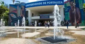 Foto: (Divulgação)