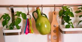 Saiba como fazer e cuidar de hortas dentro de casa