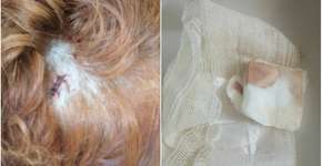 Foto: (Imagem sem texto alternativo disponivel ID [1114673])