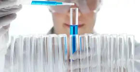 Foto: (Imagem sem texto alternativo disponivel ID [334839])