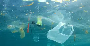 Tintura torna fluorescente o lixo plástico