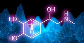 Foto: (Evgeny Gromov/istock)