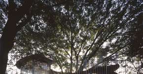 Foto: (Imagem sem texto alternativo disponivel ID [1606879])