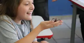 Foto: (Foto: Divulgação.)