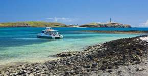 Foto: (Imagem sem texto alternativo disponivel ID [1507547])