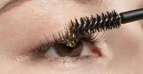 Foto: (Imagem sem texto alternativo disponivel ID [2710431])