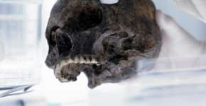 Foto: (Imagem sem texto alternativo disponivel ID [302416])