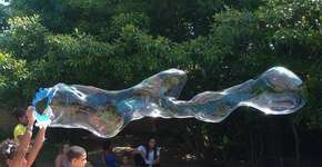 Em Goiás, grupo de pais cria escola que estimula autonomia das crianças e educação livre