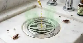 Nas casas mais limpas da Suécia o banheiro não tem mau cheiro porque usam gotas de óleo de eucalipto para repelir insetos