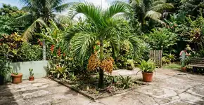 Foto: (Imagem sem texto alternativo disponivel ID [2776707])