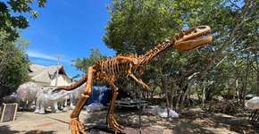 Foto: (Divulgação/Alchymist Prehistoric Park)