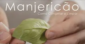 Foto: (Imagem sem texto alternativo disponivel ID [868867])