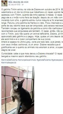 Página conta a história dos animais (Imagem: Reprodução/Facebook)