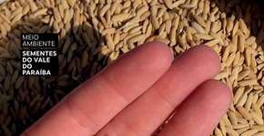 “3 Vivas para os 3 Santos” no Sesc Vila Mariana