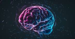 Estudo revela o tipo de alimento que pode estar destruindo seu cérebro