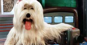 Foto: (Imagem sem texto alternativo disponivel ID [1187202])