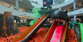 Foto: (Imagem sem texto alternativo disponivel ID [2214481])