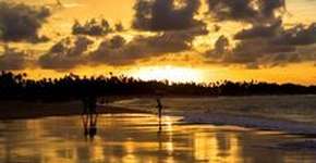 Foto: (Imagem sem texto alternativo disponivel ID [1867196])