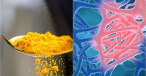 Foto: (simonkr/image_jungle/istock)