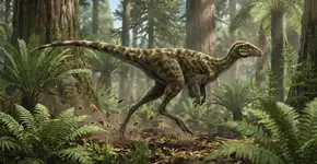 Foto: (Imagem sem texto alternativo disponivel ID [2739722])