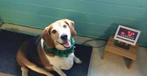 Foto: (Imagem sem texto alternativo disponivel ID [862990])