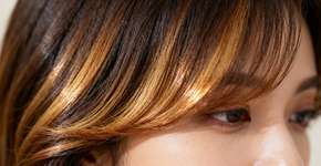 Foto: (Imagem sem texto alternativo disponivel ID [2671330])