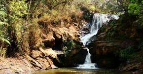 Foto: (Imagem sem texto alternativo disponivel ID [1869098])