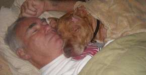 Foto: (Imagem sem texto alternativo disponivel ID [1004021])