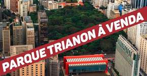 Um jeito provocativo de comemorar o Dia da Amazônia