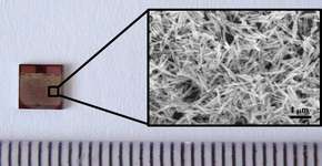 Foto: (Imagem sem texto alternativo disponivel ID [1837325])