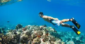 Para proteger corais, Havaí proíbe uso de filtro solar