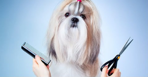 Foto: (Imagem sem texto alternativo disponivel ID [998700])