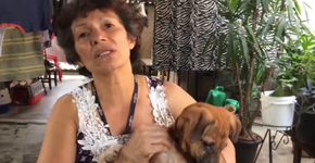 A protetora que resgata cães e gatos abandonados na cracolândia