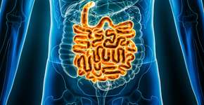 Estudo liga alimentação saudável aos 12 meses à redução do risco de doença inflamatória intestinal