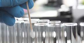 Foto: (megaflopp/istock)