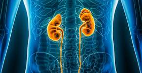 Foto: (iStock/libre de droit)