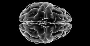 Foto: (eabff/DepositPhotos)