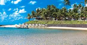 Foto: (Imagem sem texto alternativo disponivel ID [1535163])