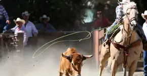 Foto: (Getty Images/Vetta)