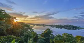 Foto: (Istock/Bkamprath)