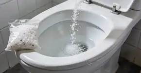 Foto: (Imagem sem texto alternativo disponivel ID [2716296])