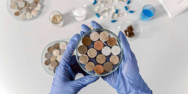 Featured main: Cacau 360 oferece bolsa de pós-doutorado com valor de R$ 12.570