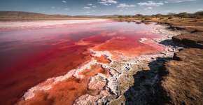 Foto: (Imagem sem texto alternativo disponivel ID [2683798])