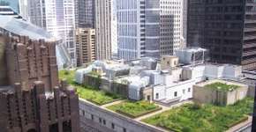 Alternativas verdes, hortas e jardins urbanos surgem nas grandes cidades