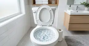 Jogar gelo dentro do vaso sanitário: para que serve e como fazer