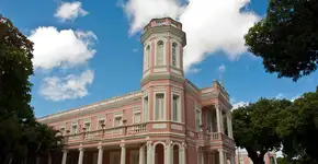 Foto: (Divulgação/UFC)