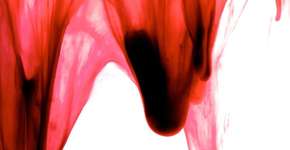 Foto: (072024003331)